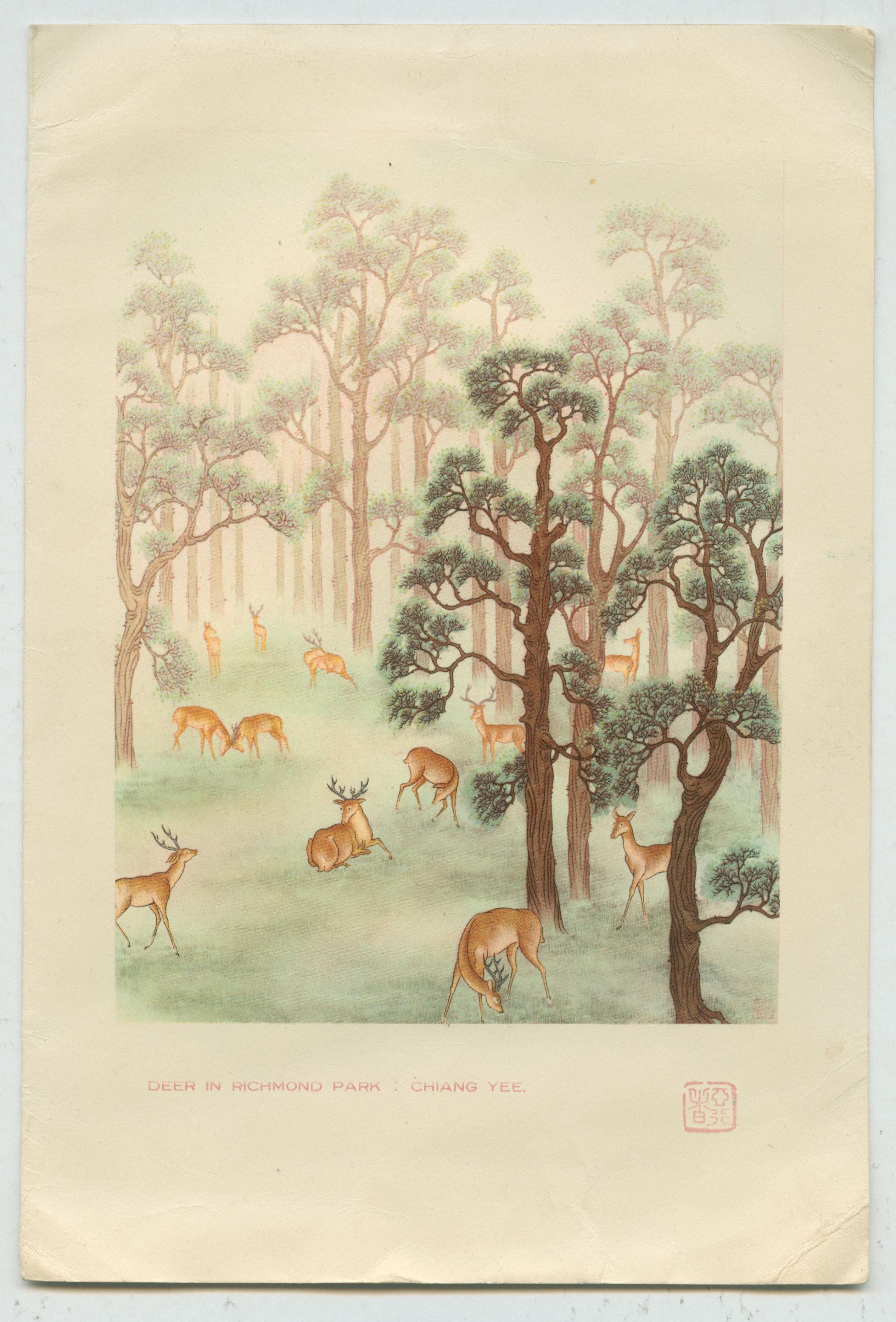 A Chinese view of the deer in Richmond Park